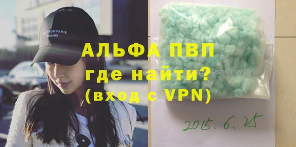 индика Бронницы