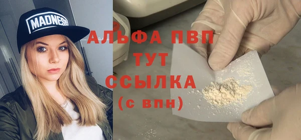 индика Бронницы