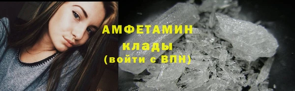 индика Бронницы