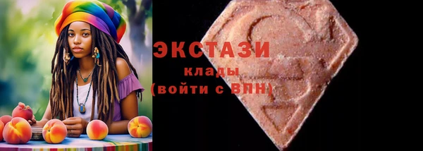 индика Бронницы