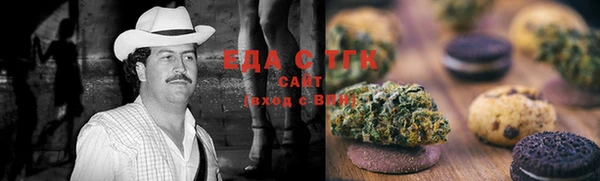 индика Бронницы