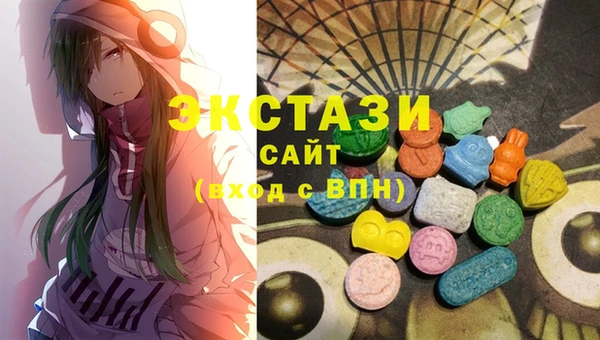 индика Бронницы