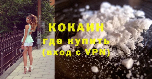 индика Бронницы