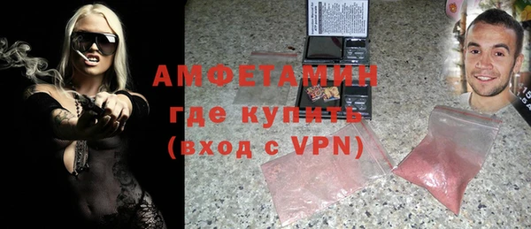индика Бронницы