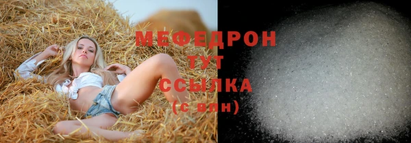 индика Бронницы