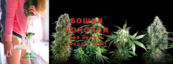 эйфоретик Бугульма