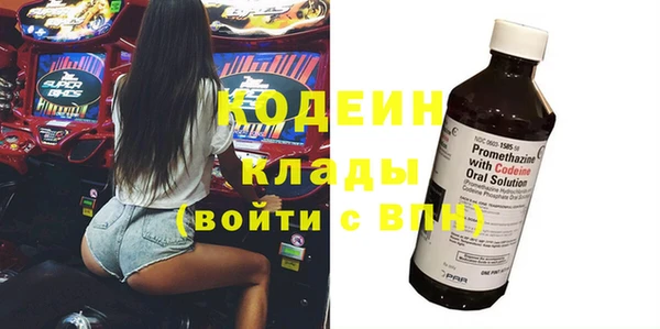 индика Бронницы